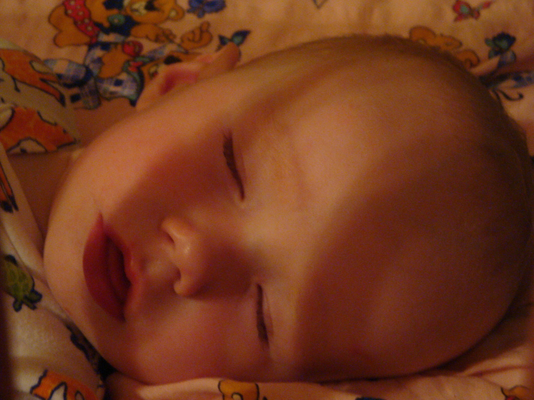 DSC04282.JPG