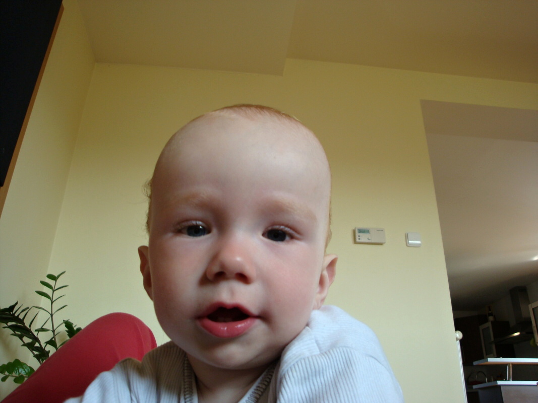 DSC04444.JPG
