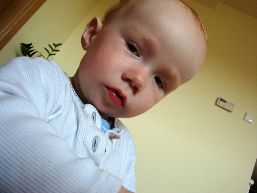 DSC04446.JPG